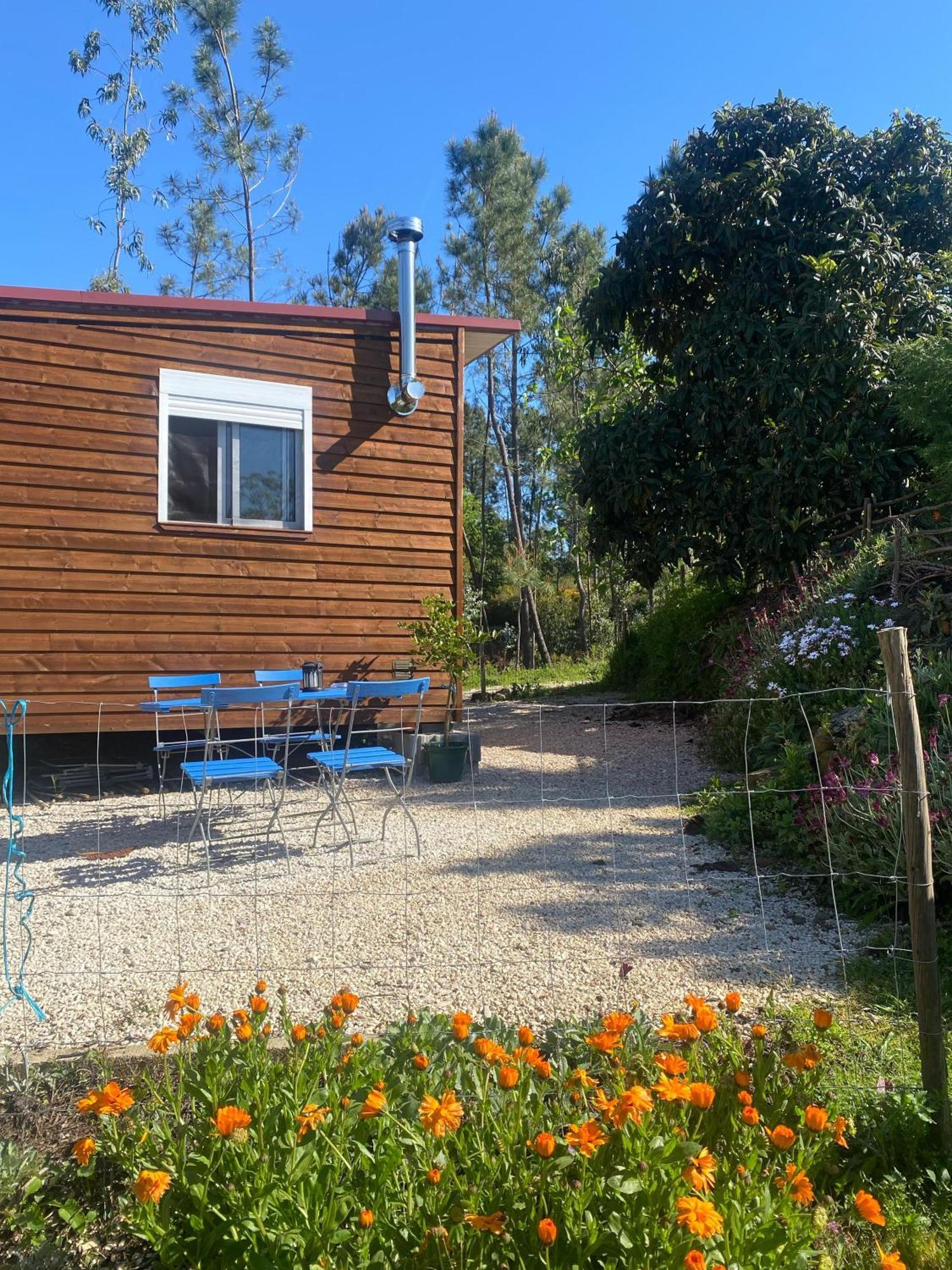 Casa Carini Vila Sertã Exterior foto