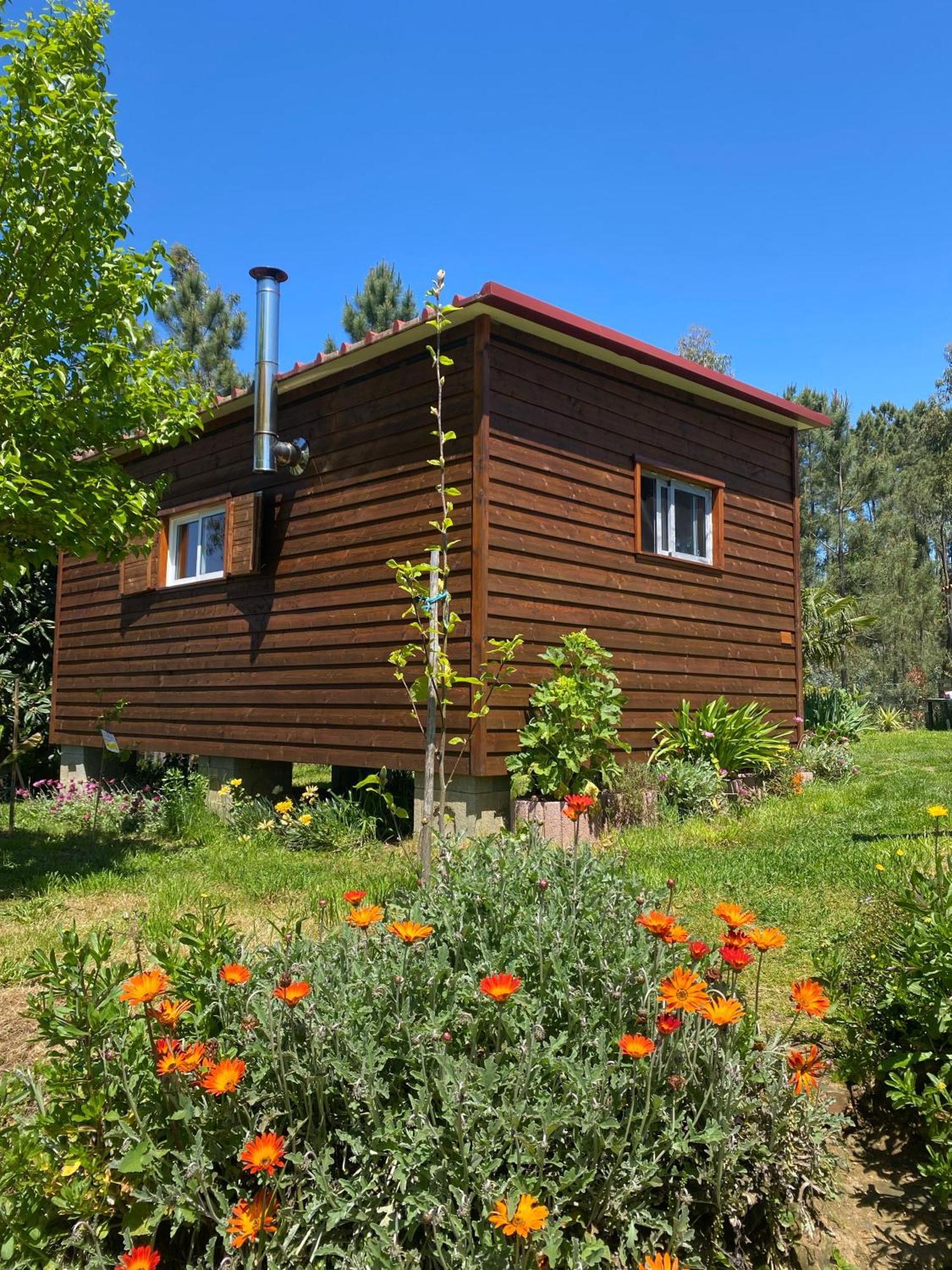 Casa Carini Vila Sertã Exterior foto
